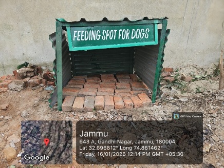 Cleaning with Compassion: How Jammu is Leading the Way in Animal Care   